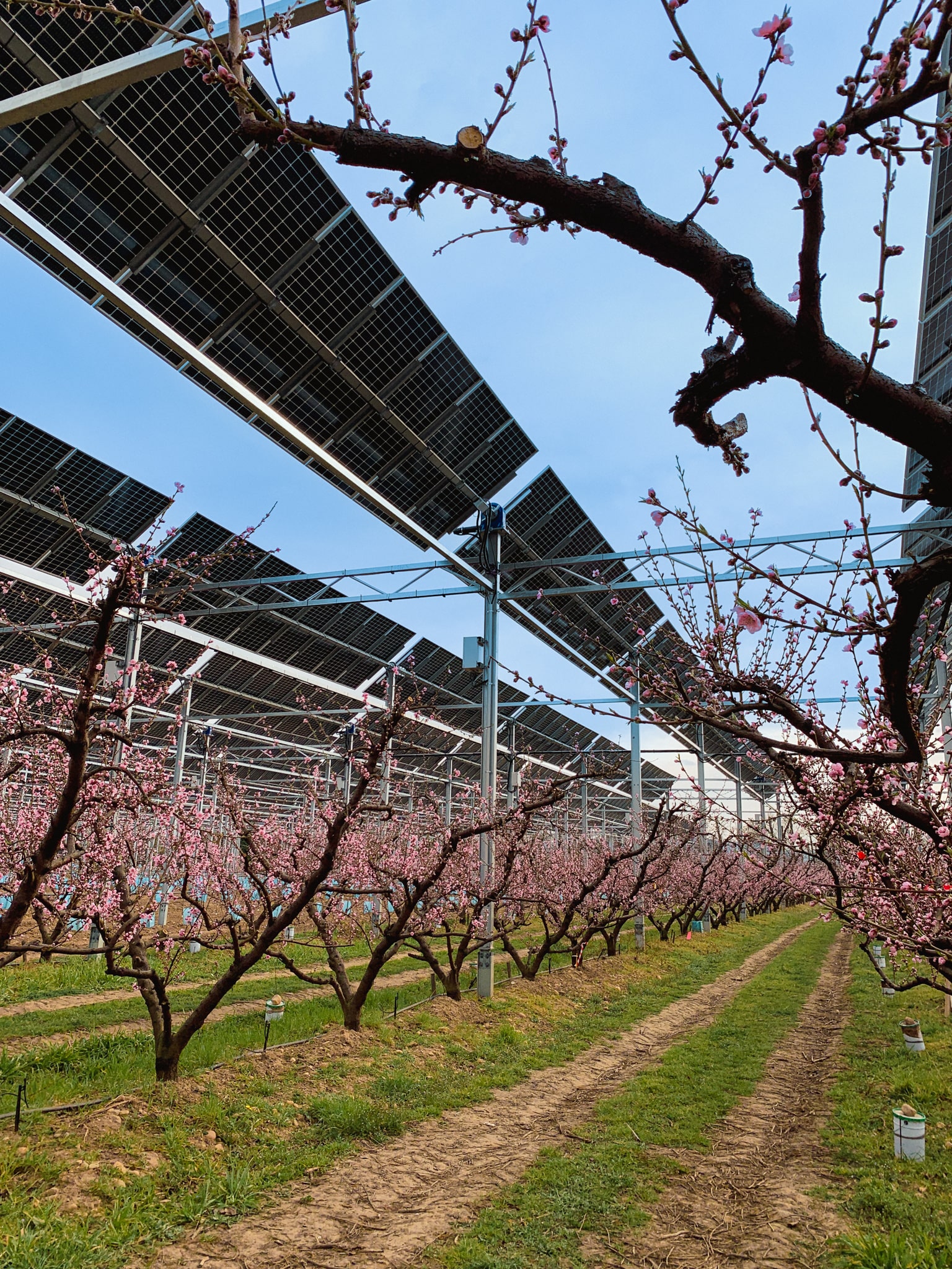 Eléments intégre l&rsquo;association France Agrivoltaïsme